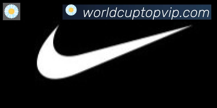 2026世界杯比分官方网站合作伙伴
